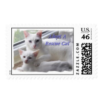 Adopt A Rescue Cat Postage postage