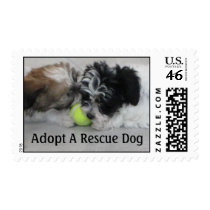 Adopt A Rescue Dog Postage Stamp