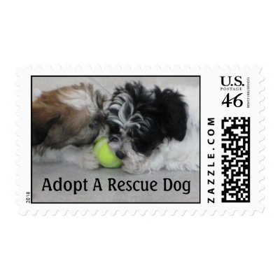 Adopt A Rescue Dog Postage Stamp by patsarts