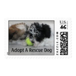 Adopt A Rescue Dog postage
