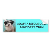 ADOPT A RESCUE DOG!STOP PUPPY MILLS! bumper stickers by patsarts ADOPT A RESCUE DOG!STOP PUPPY MILLS! bumper stickers