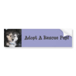 Adopt A Rescue Pup! Bumper Sticker