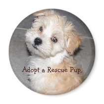 Adopt a Rescue Pup magnets by patsarts Adopt a Rescue Pup magnets