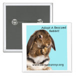 Adopt A Rescued Rabbit! Pin