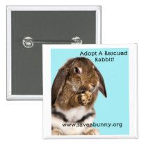 Adopt A Rescued Rabbit! buttons