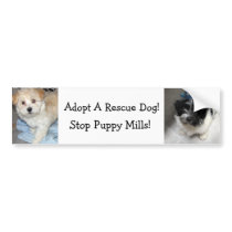 Adopt A Resuce Dog - Havanese Puppies bumper stickers by patsarts Adopt A Resuce Dog - Havanese Puppies bumper stickers