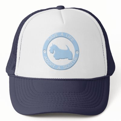 Adopt a Scottie Hat by MenagerieMayhem
