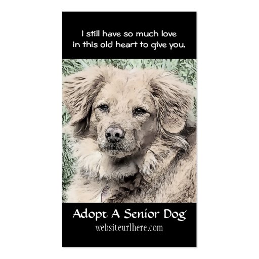 Adopt a Senior Dog Animal Rescue Business Card (front side)