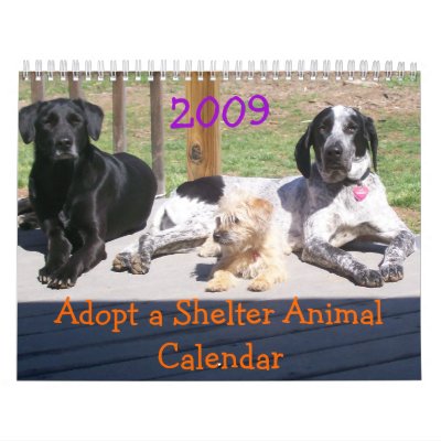 Adopt a Shelter Animal Calendar by sunsett76