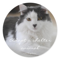 Adopt a shelter animal stickers