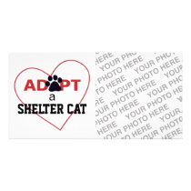 Adopt a Shelter Cat Photo Card Template