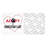Adopt a Shelter Cat Photo Card Template