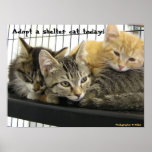 Adopt a shelter cat today print
