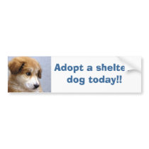 Adopt a shelter dog bumper stickers by okcshelter Adopt a shelter dog bumper stickers