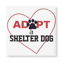 Adopt a Shelter Dog Magnets