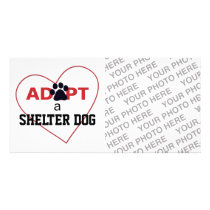 Adopt a Shelter Dog Picture Card