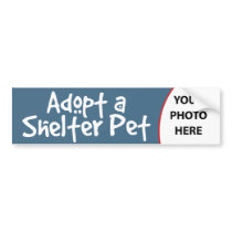 Adopt a Shelter Pet bumper stickers