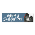 Adopt a Shelter Pet Chow Mix Bumper Sticker