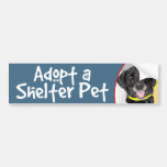 Adopt a Shelter Pet Lab/German Shorthaired Pointer Bumper Sticker