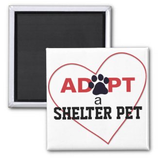 Adopt a Shelter Pet magnet