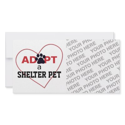 Adopt a Shelter Pet Photo Cards by FCACshelter