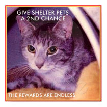 ADOPT A SHELTER PET posters