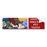 ADOPT A SHELTER PET TODAY Bumpersticker Bumper Stickers
