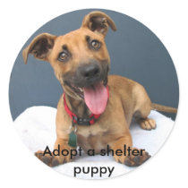 Adopt a shelter puppy 023 stickers