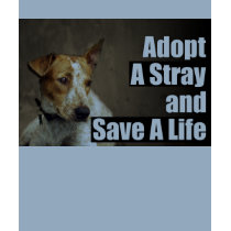 Adopt A Stray ( front ) T-Shirt