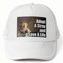 Adopt A Stray Hat