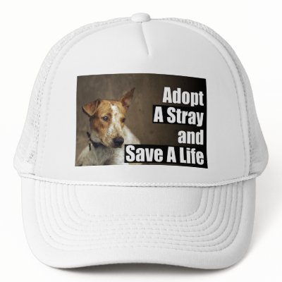 Adopt A Stray Hat by ngothyeaun