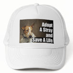 Adopt A Stray Hat