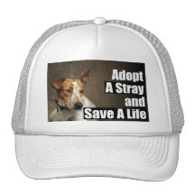 Adopt A Stray Hat