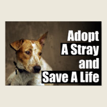 Adopt A Stray Poster posters
