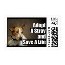 Adopt A Stray Stamp