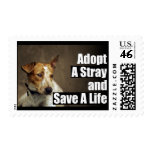 Adopt A Stray Stamp