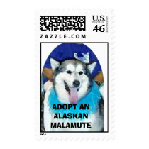 ADOPT AN ALASKAN MALAMUTE postage by flotrob ADOPT AN ALASKAN MALAMUTE postage
