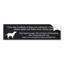 Adopt bumper stickers by MuttMom88 Adopt bumper stickers