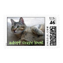 adopt crazy love! postage