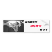 Adopt Don't Buy Bumper Sticker