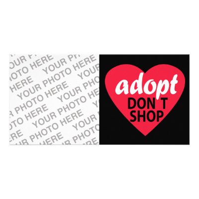 Adopt Dont Shop Photo Cards by FCACshelter
