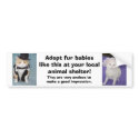Adopt fur babies like this at your local shelter. bumper stickers by myrtieshuman Adopt fur babies like this at your local shelter. bumper stickers