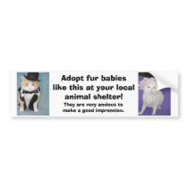 Adopt fur babies like this at your local shelter. bumper stickers by myrtieshuman Adopt fur babies like this at your local shelter. bumper stickers