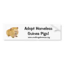 Adopt Homeless Guinea Pigs! bumper stickers by SmallAngelsRescue Adopt Homeless Guinea Pigs! bumper stickers