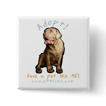 Adopt me buttons
