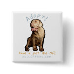 Adopt me buttons