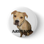 Adopt Me? button