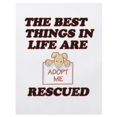 ADOPT ME FLYERS by cheriverymery