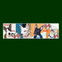Adopt Me... Me... Me!!! bumper stickers
