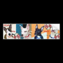 Adopt Me... Me... Me!!! bumper stickers by Insomniacs Adopt Me... Me... Me!!! bumper stickers